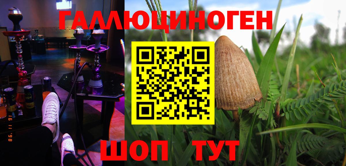 Галлюциногенные грибы мухоморы  Вход с VPN  где можно купить наркотик  Рассказово 